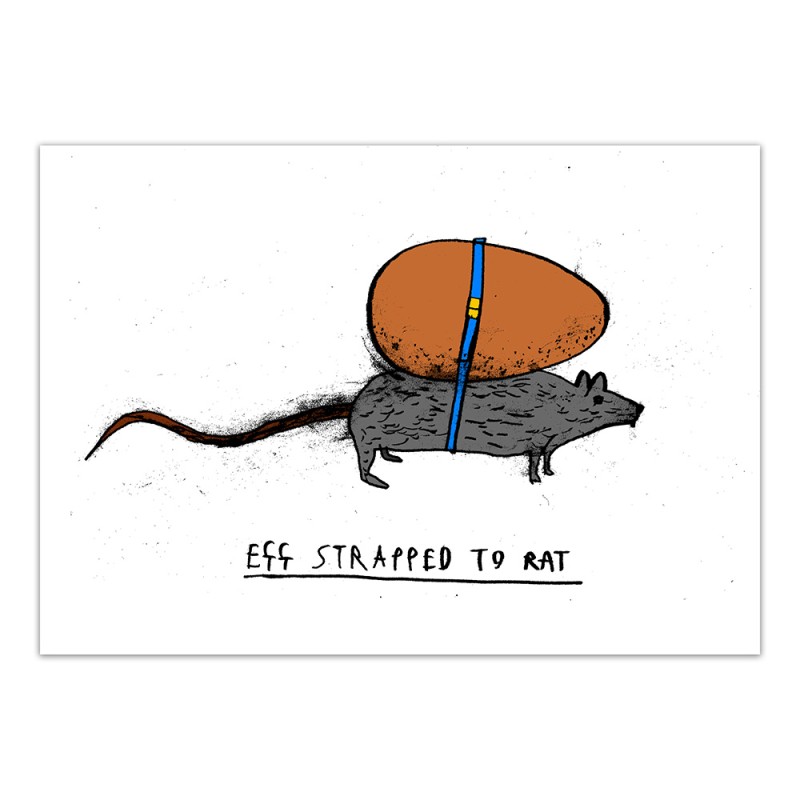 Egg Strapped To Rat - Print