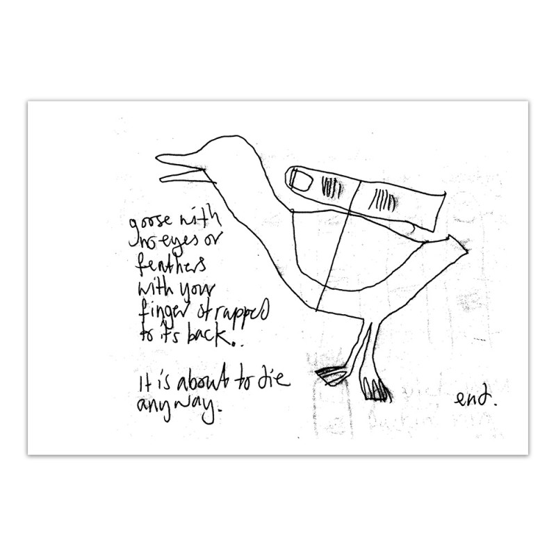 Your Finger Strapped To A Goose - Print